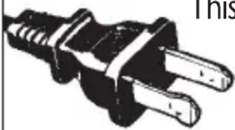 Rival RC101 - POLARIZED PLUG - 1