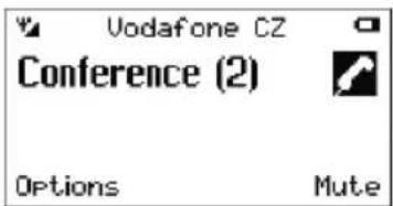 Vodafone CZ Conference (2) Options Mute