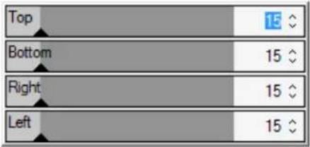 ACDSEE Pro 6 - Border options - 2