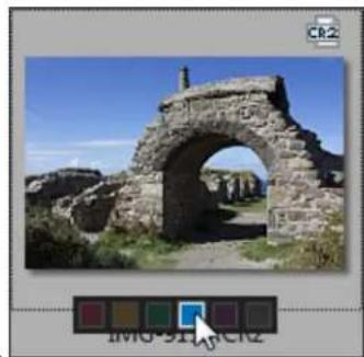 ACDSEE Pro 6 - Assign Color labels - 5