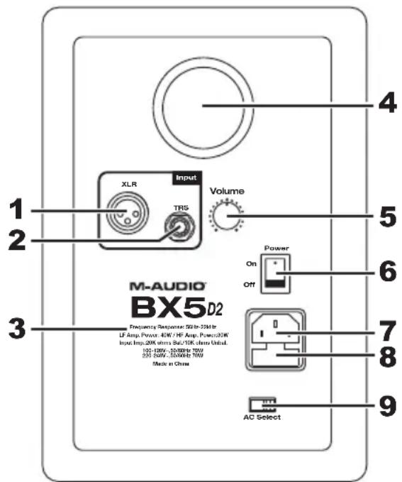 M-AUDIO BX5 D2 - Pannello posteriore - 1