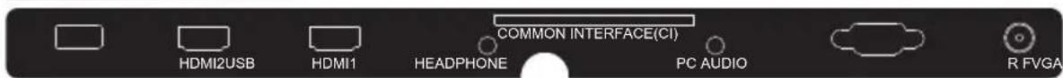 COMMON INTERFACE(CI) HDMI2USB HDMI1 HEADPHONE PC AUDIO R FVGA