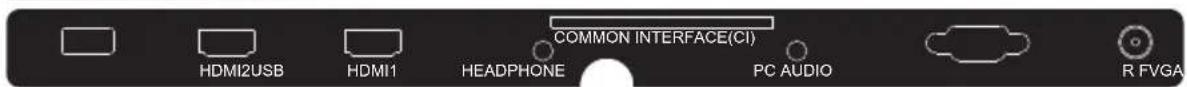 COMMON INTERFACE(CI) HDMI2USB HDMI1 HEADPHONE PC AUDIO R FVGA