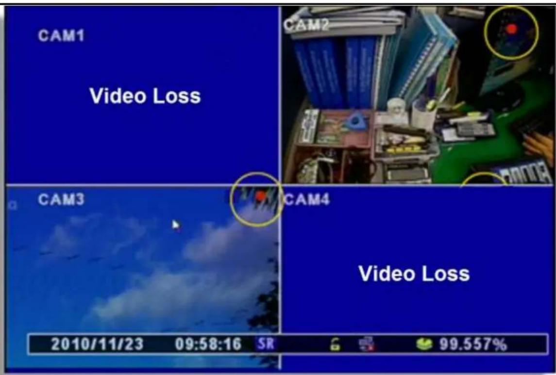 CAM1 Video Loss CAM2 CAM3 CAM4 Video Loss 2010/11/23 09:58:16 SR 99.557%