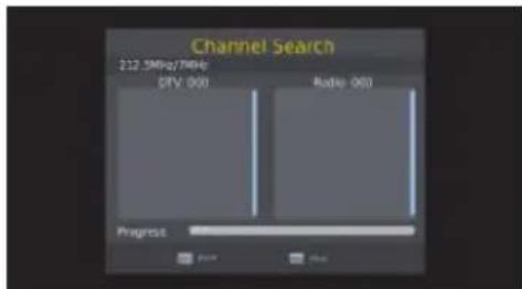 Channel Search 212.5MHz/7MHz D/FV 000 Radio 000 Progress 212.5MHz/7MHz D/FV 000 Radio 000