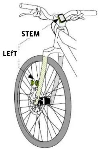 STEM LeftT