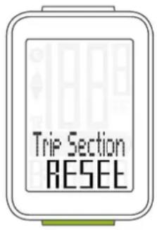 Trip Section RESEE