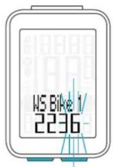 WS Bike 1 2236