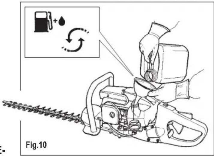 Fig.10