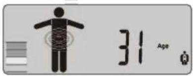 31 Age