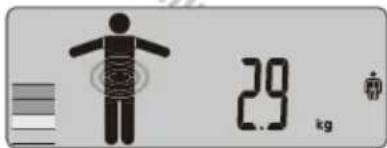 29 kg