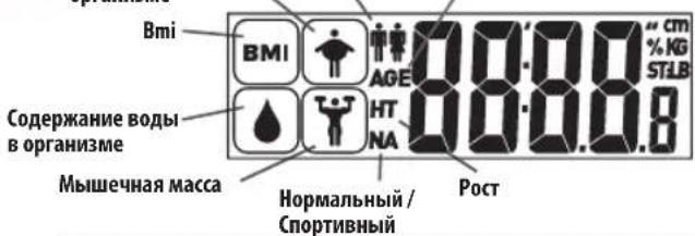Bmi BMI AGE 7.0.0.0 % KG STLB Содержание воды в организме НТ NA 0.0.0.0.8 Мышечная масса Нормальный / Спортивный Рост