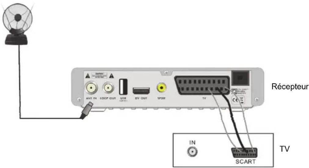 Récepteur IN SCART TV