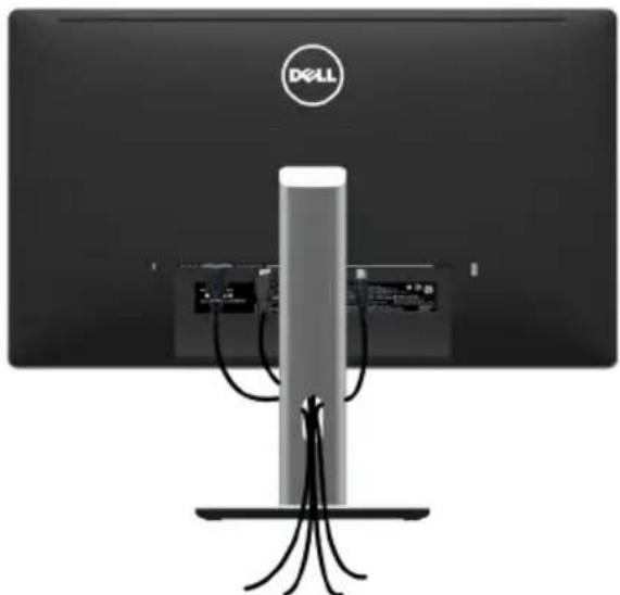 DELL Professional P2715Q - Organisation des câbles - 1