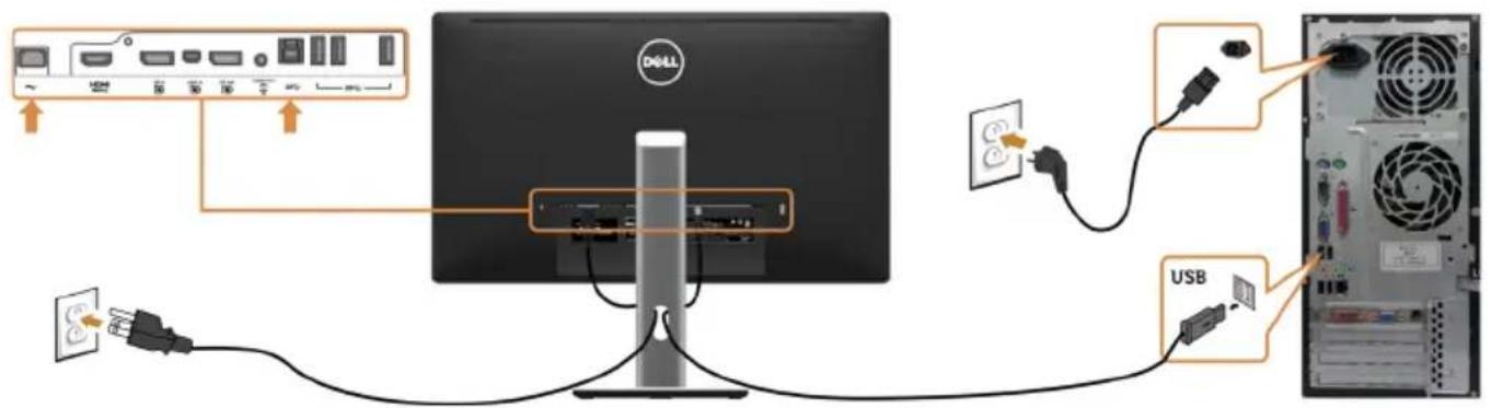 DELL Professional P2715Q - ranchement du câble USB - 1