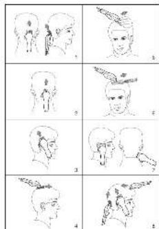 Illustrations dessinées à la main de la tête et du cou d'une personne avec des positions étiquetées de 1 à 6, montrant diverses vues anatomiques ou stylistiques.