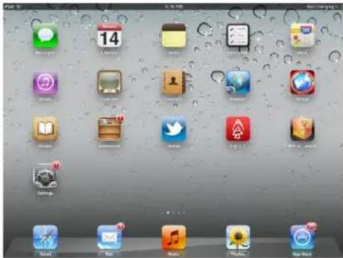 Page 10 14 Smartphone Apple