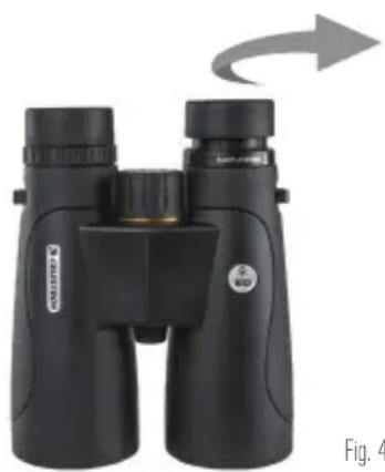 CELESTRON Nature DX 8X32 - REGOLAZIONE DELLA CONCHIGLIA OCULARE - 1