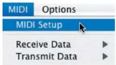 MIDI Options MIDI Setup Receive Data Transmit Data