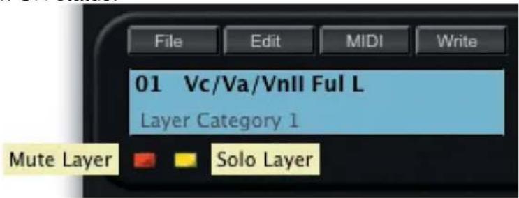 File Edit MIDI Write 01 Vc/Va/VnII Ful L Layer Category 1 Mute Layer Solo Layer