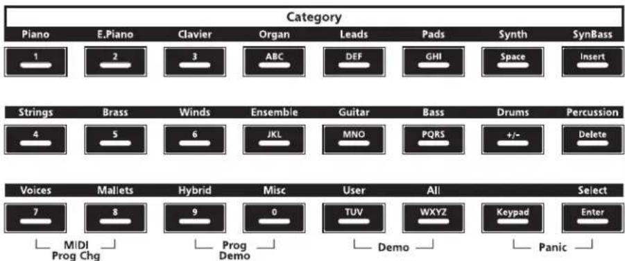 Category Piano E.Piano Clavier Organ Leads Pads Synth SynBass 1 2 3 ABC DEF GHISpace Insert Strings Brass Winds Ensemble Guitar Bass Drums Percussion 4 5 6 JKL MNO PQRS +/- Delete Voices Mallets Hybrid Misc User All Select 7 8 9 0 TUV WXYZ Keypad Enter Mali Prog Chg Prog Demo Demo Panic