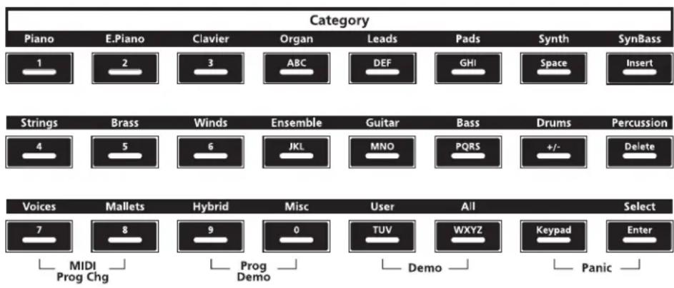 Category Piano E.Piano Clavier Organ Leads Pads Synth SynBass 1 2 3 ABC DEF GHISpace Insert Strings Brass Winds Ensemble Guitar Bass Drums Percussion 4 5 6 JKL MNO PQRS +/- Delete Voices Mallets Hybrid Misc User All Select 7 8 9 0 TUV WXYZ Keypad Enter MIDI Prog Chg Prog Demo Demo Panic
