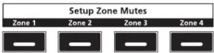 Setup Zone Mutes Zone 1 Zone 2 Zone 3 Zone 4