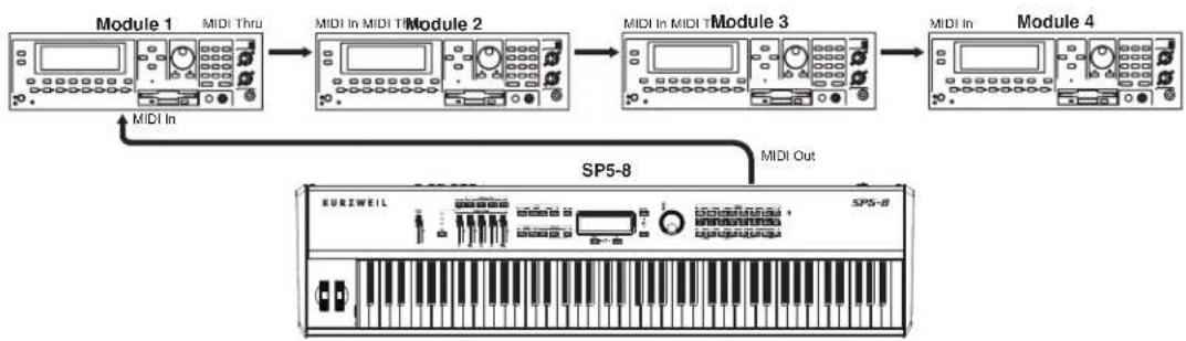 Kurzweil SP5-8 - Controlling Multiple Modules with a Single Setup - 1