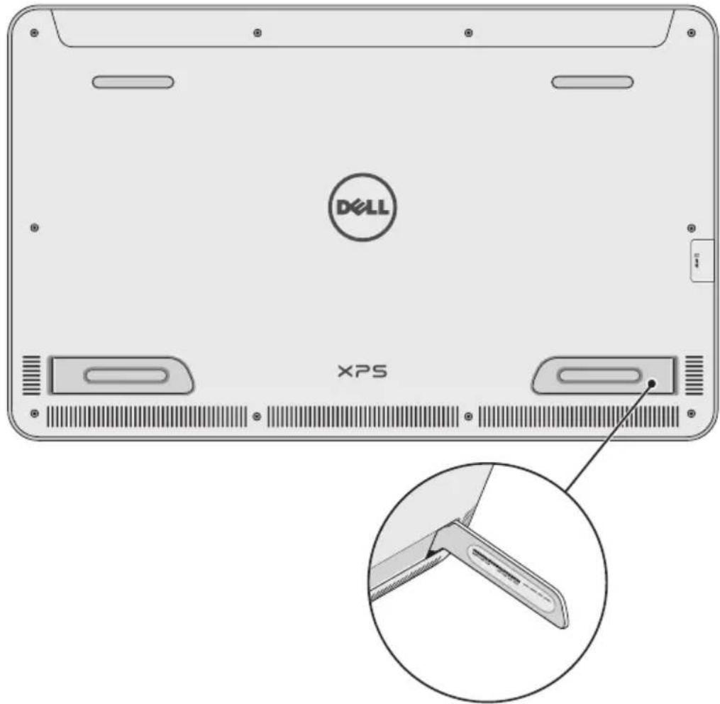 DOLL XPS