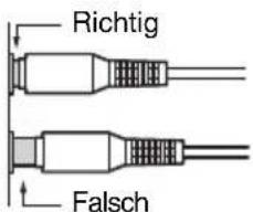 Richtig Falsch