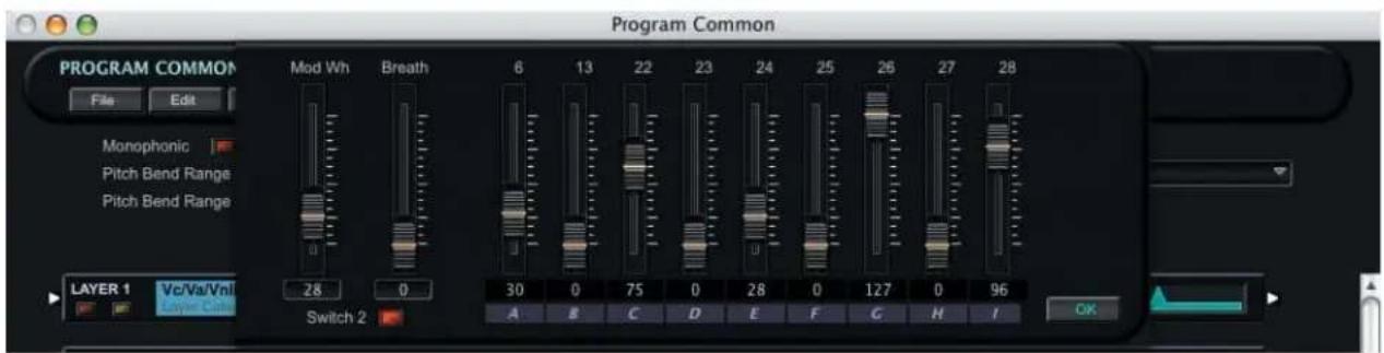 Program Common PROGRAM COMMON File Edit Monophonic Pitch Bend Range Pitch Bend Range Mod Wh Breath 6 13 22 23 24 25 26 27 28 LAYER 1 Vc/Va/Vnl 28 0 30 0 75 0 28 0 127 0 96 Layer 1 Layer Ctrl Switch 2 A B C D E F G H I OK
