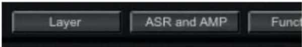 Layer ASR and AMP Function