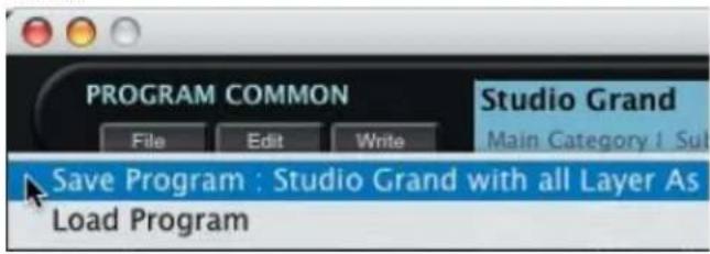 PROGRAM COMMON File Edit Write Save Program : Studio Grand with all Layer As Load Program