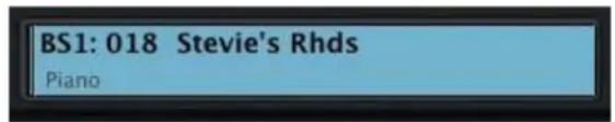 BS1: 018 Stevie's Rhds Piano