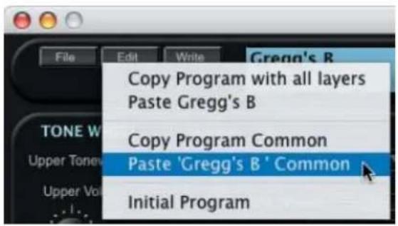 File Edit Write Gregg's B Copy Program with all layers Paste Gregg's B Copy Program Common Paste 'Gregg's B' Common Initial Program