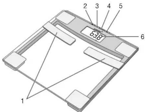 1 2 3 4 5 6 63.8