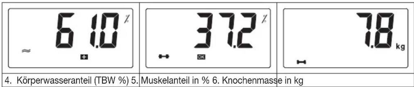 KORONA Dana - 1