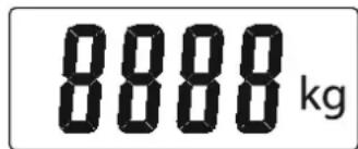 8888 kg
