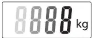 8888 kg