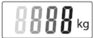 8888 kg