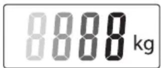 8888 kg