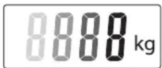 8888 kg