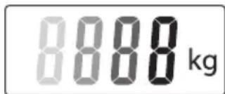 8888 kg