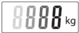 8888 kg