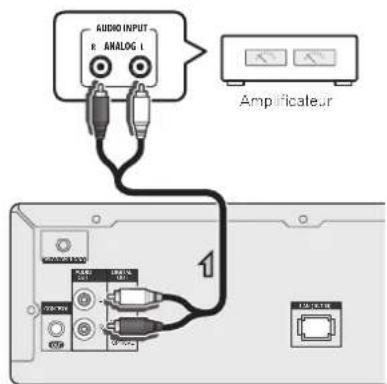 AUDIO INPUT R. ANALOG 1 Amplificateur 1