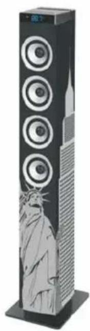 Ices IBT-5 Roma - iCES® - 3