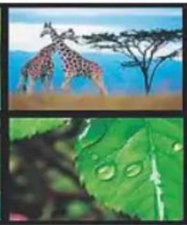 HAMA 00118561 - AANWIJZING - 2