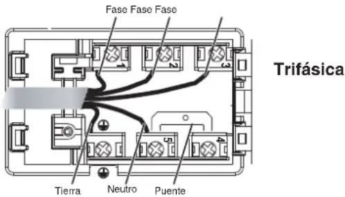 Fase Fase Fase Trifásica Tierra Neutro Puente