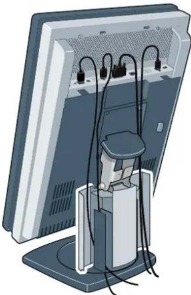 Barco Coronis 5MP - Toroutethecables - 1