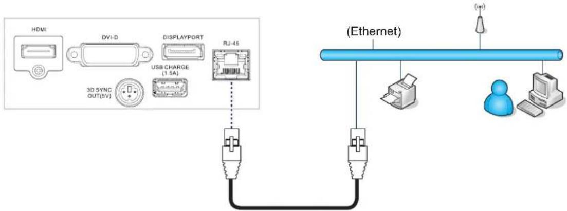 Barco PFWU-51B - RJ-45 - 1